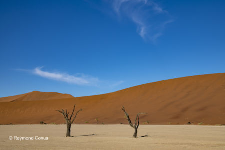 Namibia (246)