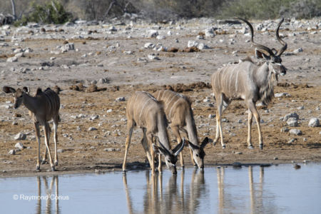 Namibia (24)