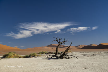 Namibia (251)