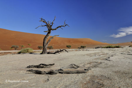 Namibia (252)