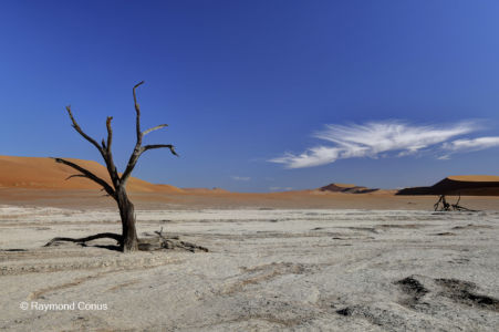 Namibia (254)