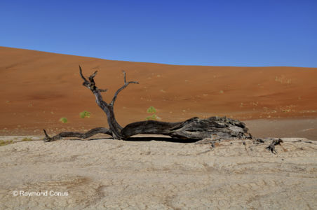 Namibia (255)