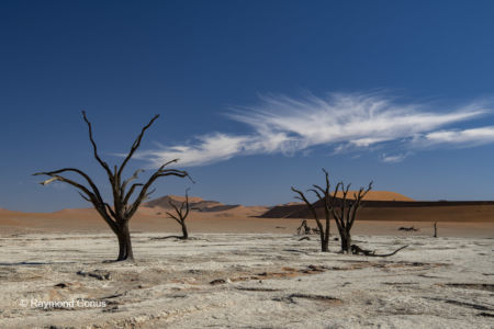 Namibia (256)