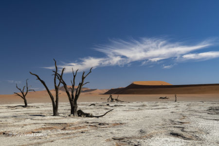 Namibia (257)