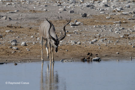 Namibia (25)