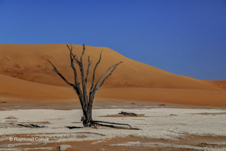 Namibia (260)