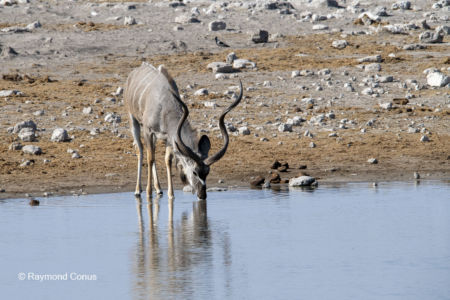 Namibia (26)