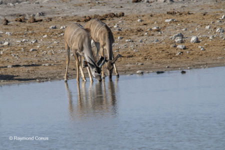 Namibia (27)