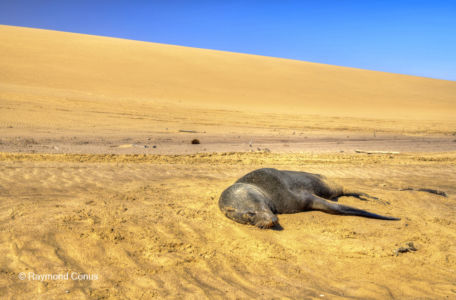 Namibia (283)