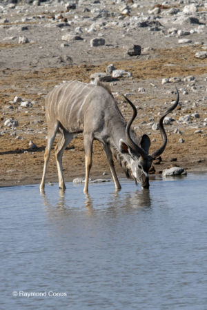 Namibia (28)