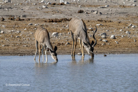 Namibia (29)