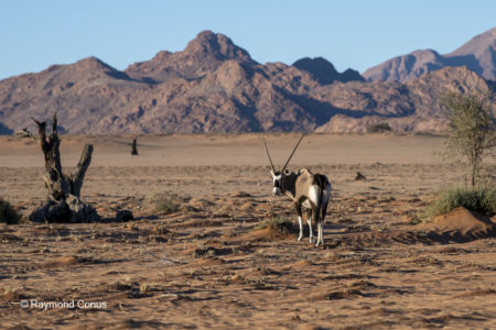 Namibia (304)