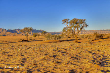 Namibia (306)