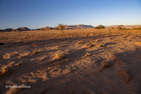 Namibia (308)