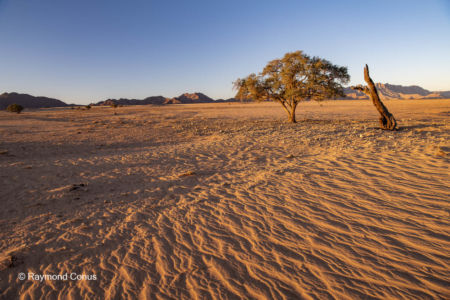 Namibia (309)