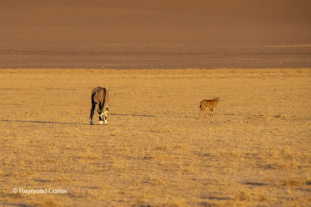 Namibia (315)