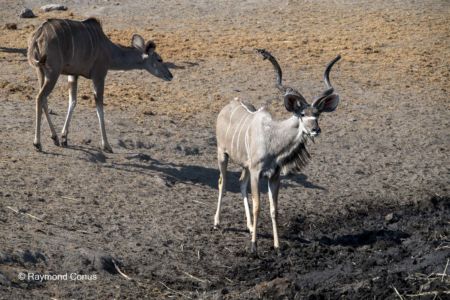 Namibia (31)