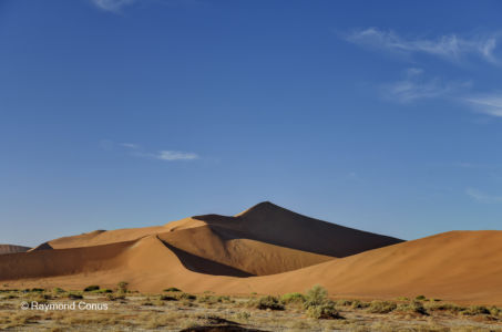 Namibia (324)