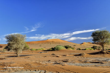 Namibia (326)
