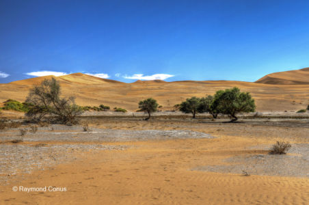 Namibia (329)