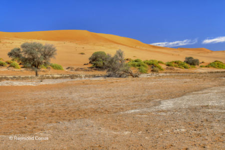 Namibia (331)