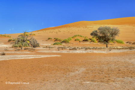 Namibia (332)