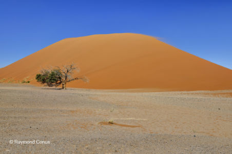 Namibia (341)