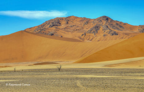 Namibia (344)