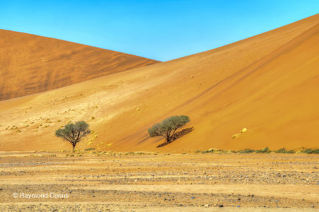 Namibia (346)