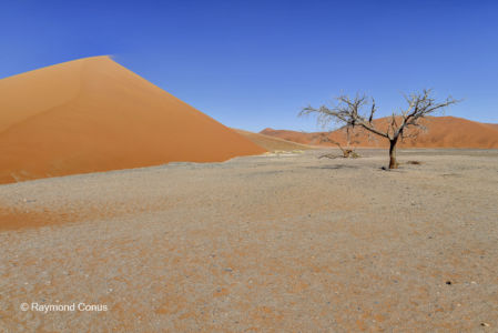 Namibia (348)