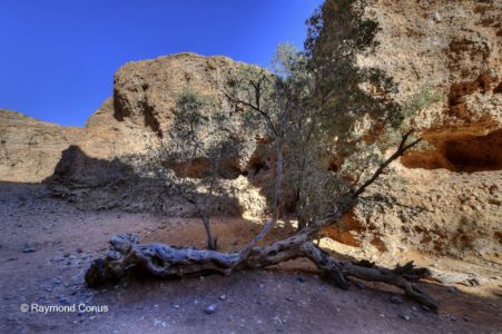 Namibia (353)