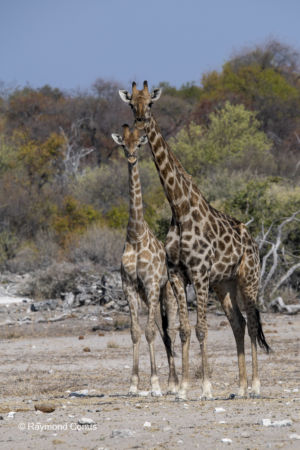 Namibia (3)