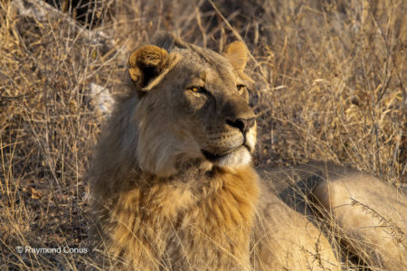 Namibia (42)