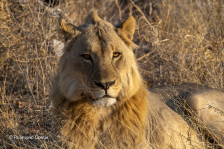 Namibia (44)