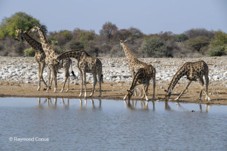Namibia (5)