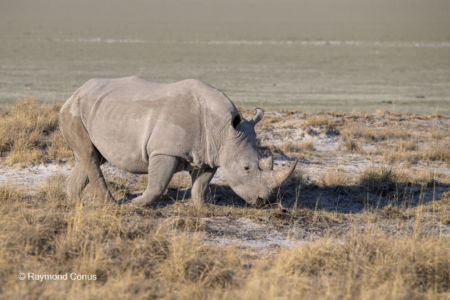 Namibia (65)