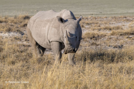 Namibia (67)