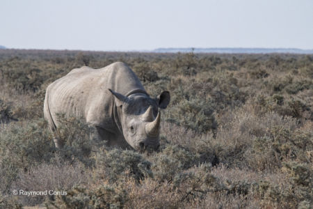 Namibia (68)