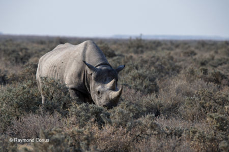 Namibia (69)