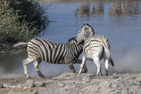 Namibia (97)