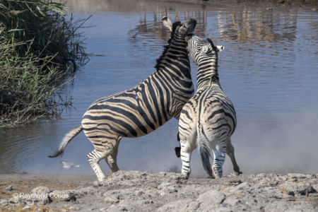 Namibia (98)