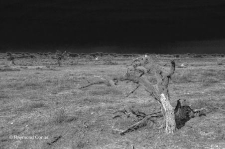 Namibian landscapes (11)