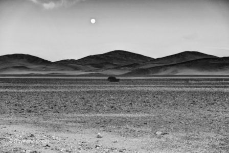 Namibian landscapes (41)