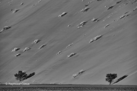 Namibian landscapes (46)