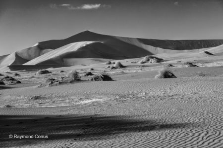 Namibian landscapes (48)