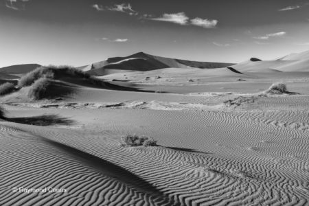 Namibian landscapes (49)