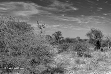 Namibian landscapes (4)