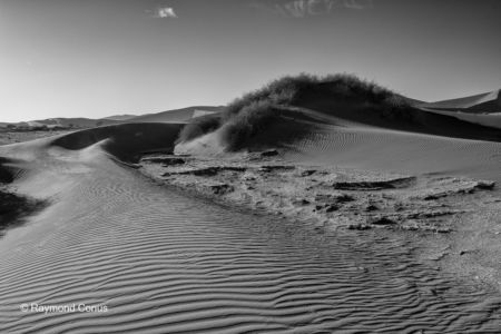 Namibian landscapes (51)