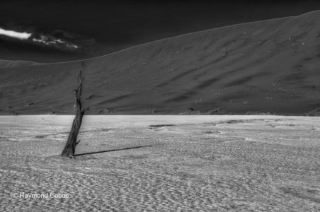 Namibian landscapes (55)