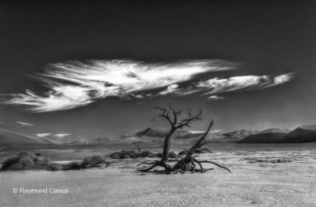 Namibian landscapes (56)